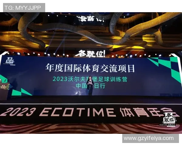 刘娜深度解析足球技巧与战术分享独家心得助你提升球技